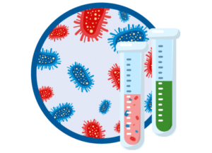 Analyse et mesure coliformes et Escherichia coli dans l'eau potable